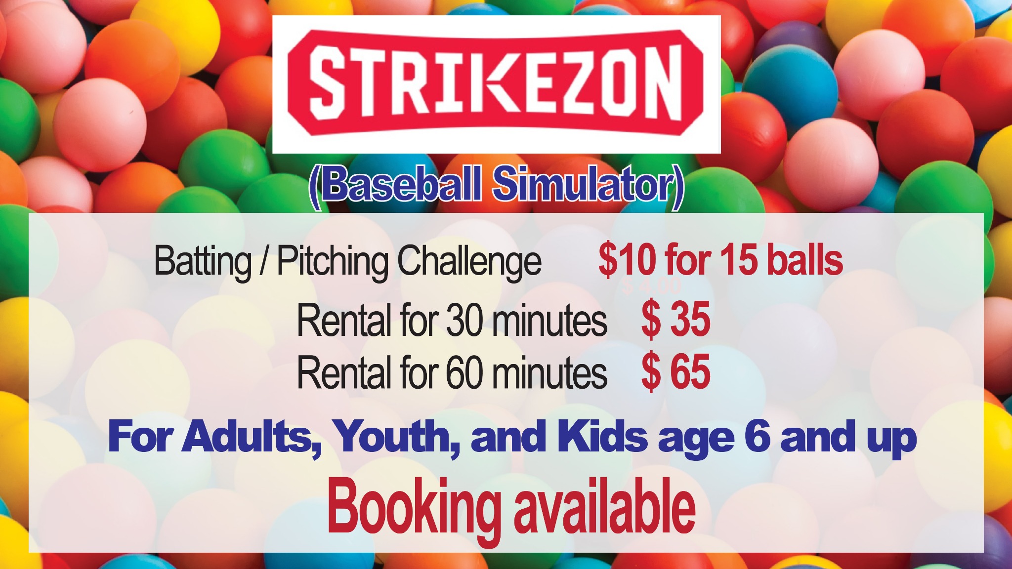 Strikezon baseball simulator information